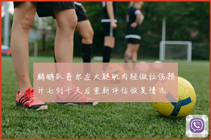 鹈鹕队普尔左大腿肌肉轻微拉伤预计七到十天后重新评估恢复情况