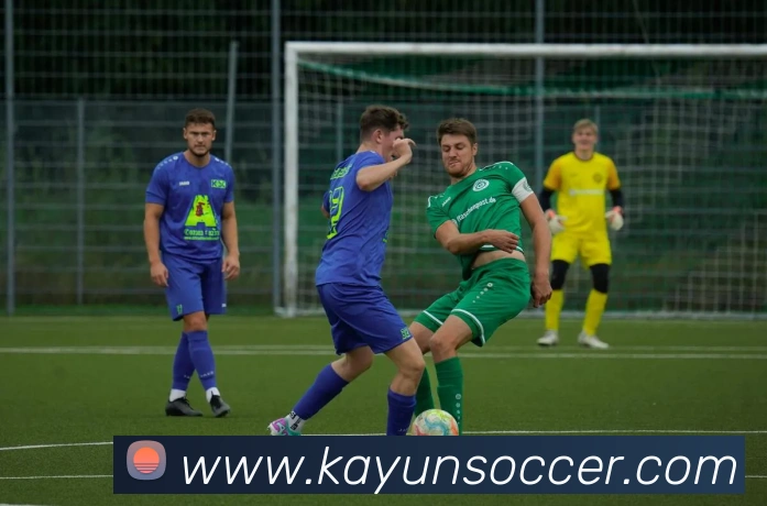 开云足球服务体系